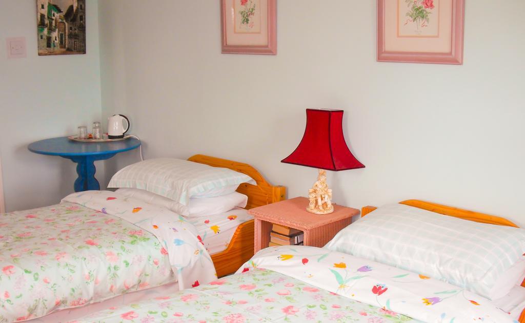 The Well Meadow B&B Nenagh Pokoj fotografie