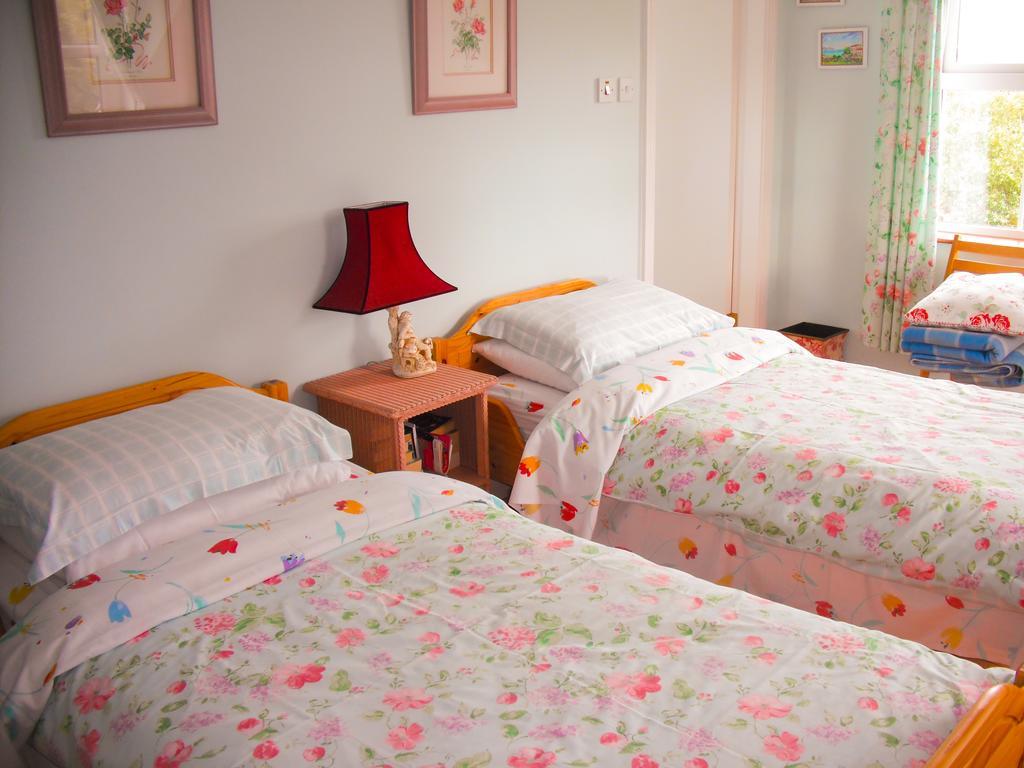The Well Meadow B&B Nenagh Pokoj fotografie