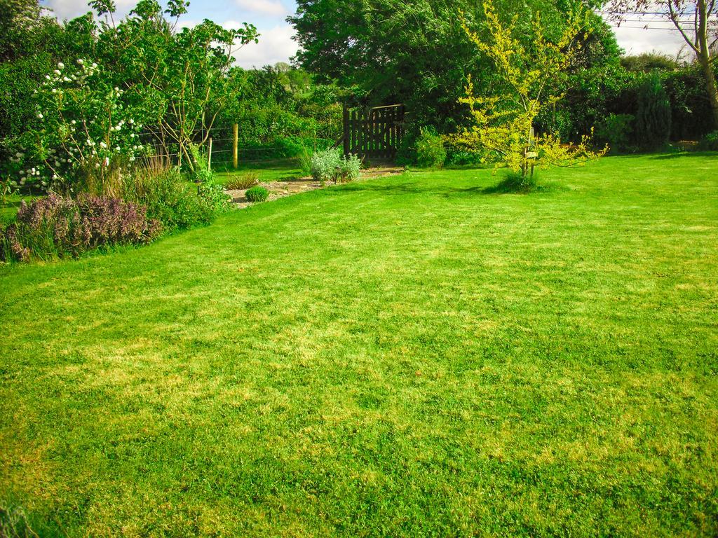 The Well Meadow B&B Nenagh Exteriér fotografie