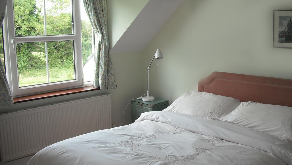 The Well Meadow B&B Nenagh Pokoj fotografie