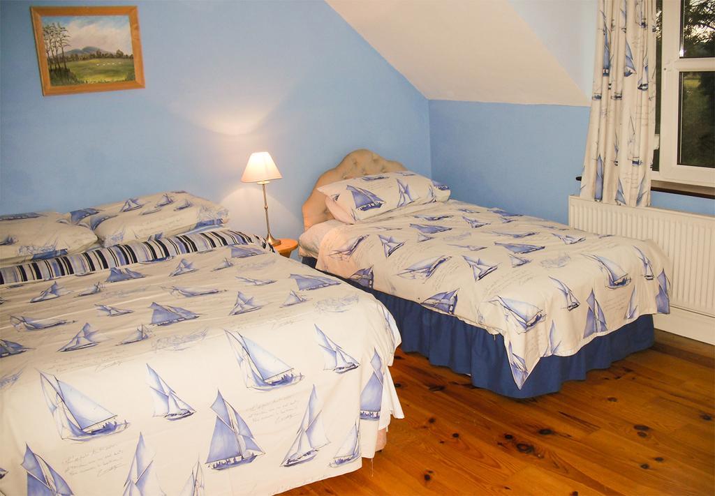 The Well Meadow B&B Nenagh Pokoj fotografie