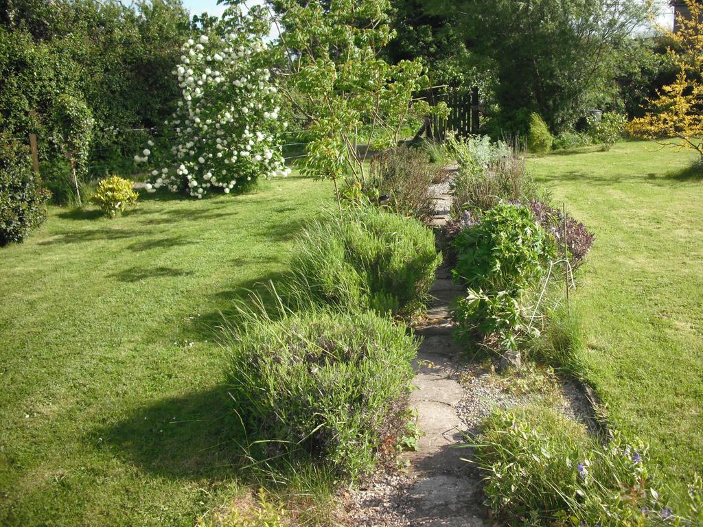 The Well Meadow B&B Nenagh Pokoj fotografie