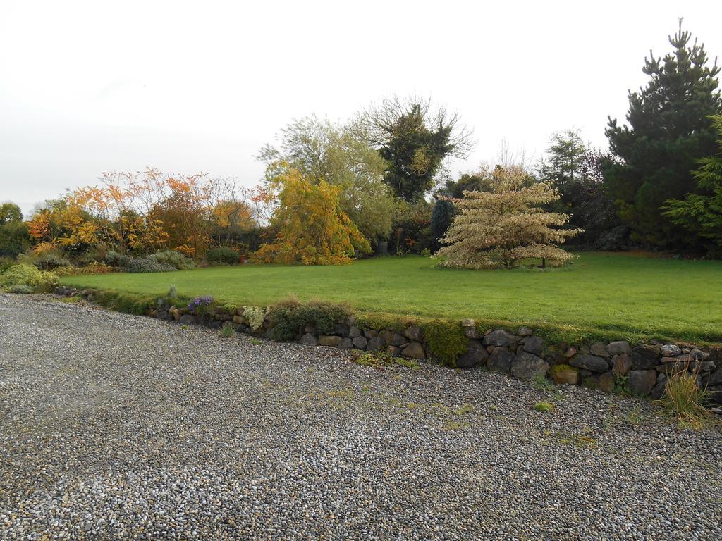 The Well Meadow B&B Nenagh Exteriér fotografie